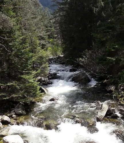 Tes Royal Plaza Appartement